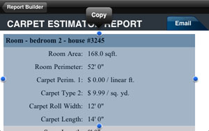 Carpet Estimate iPhone